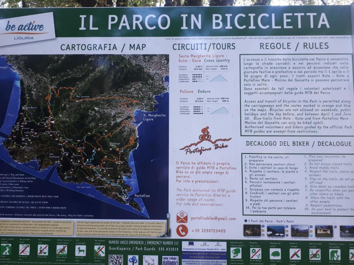 Casaviva - Bilo With Seaview And Parking In Camogli Apartment Bagian luar foto